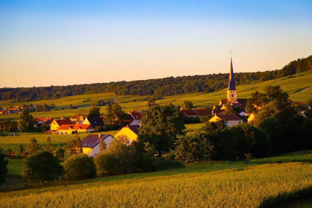The Sparkling Castle Реймс Екстериор снимка